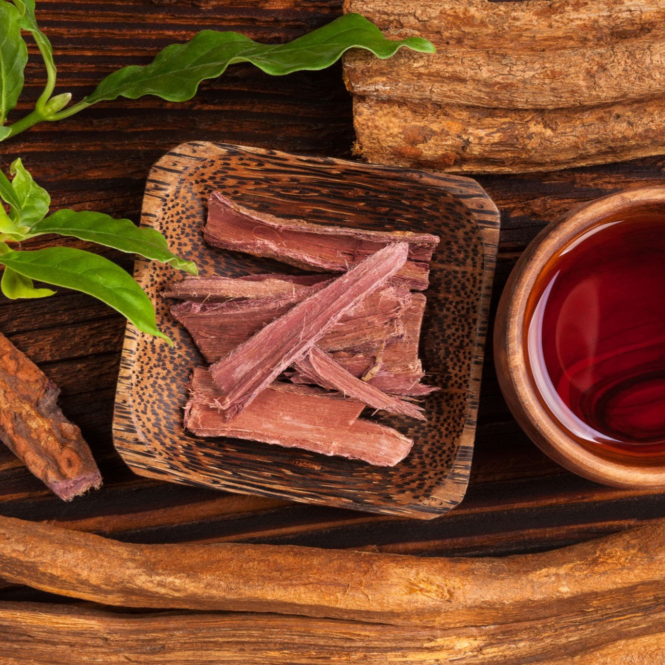 Mimosa Hostilis Root Bark | Shredded MHRB | Jurema Preta