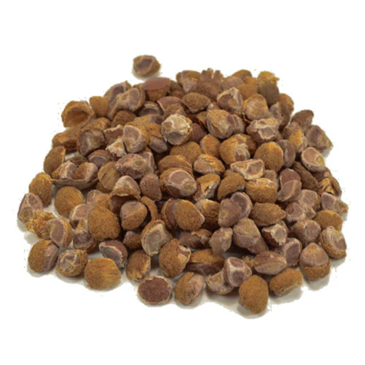 Hawaiian Baby WoodRose Seeds - HBWR | Morning Glory | Argyreia Nervosa | Silberkraut | Elephant Climber